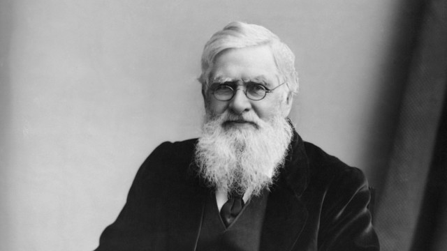 Alfred  Russel Wallace published  ides of evolutionary  processes