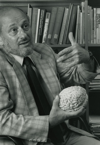 Geschwind de enfoque conexionista