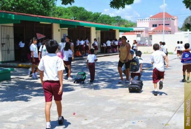 Noción de escuela de Decroly.