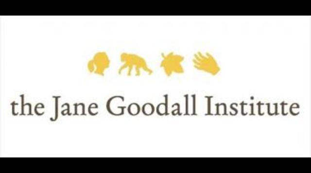 The Jane Goodall Institute is Founded