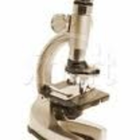 The Microscope is invented