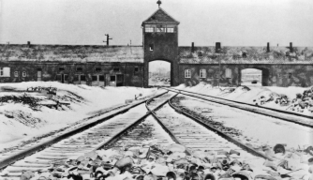 The Holocaust