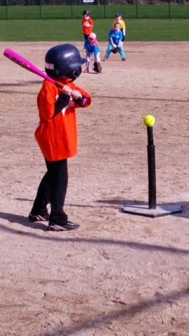 I started a coach pitch baseball league