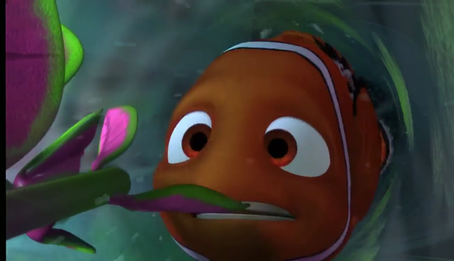 Nemo tenta fuxir da peixeira