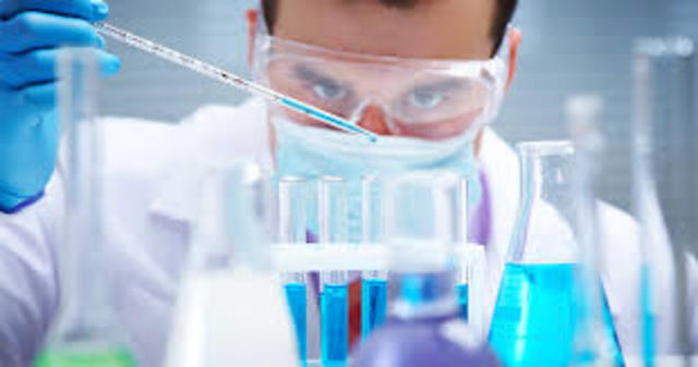 Florece la industria