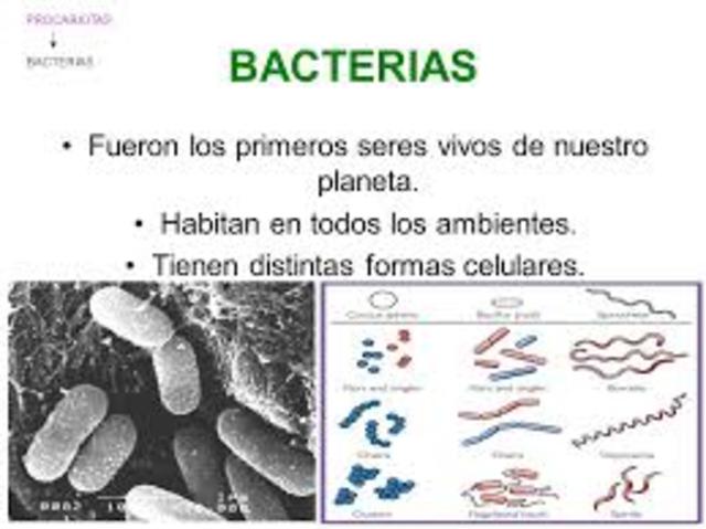 primeros microbios
