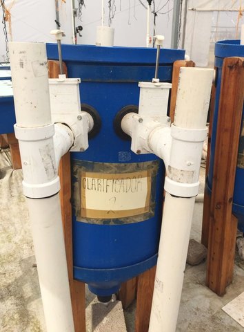 Principales componentes en la Acuaponia