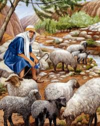 PRIMEROS ZOOTECNICOS