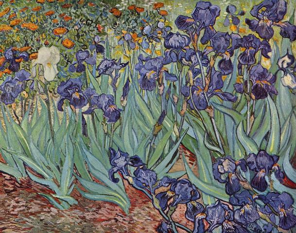 Irises by Van Gogh