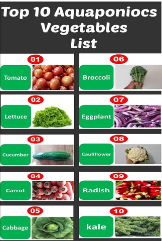 Hortalizas para sistema acuaponicos