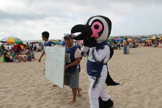 Concurso de animales marinos en Playa Los Leones