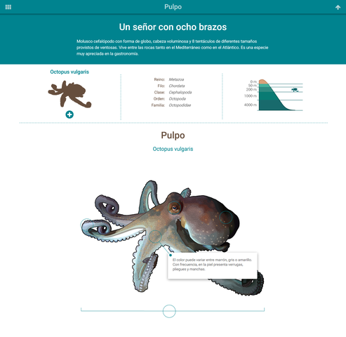 OA-Objeto de Aprendizaje-McGreal