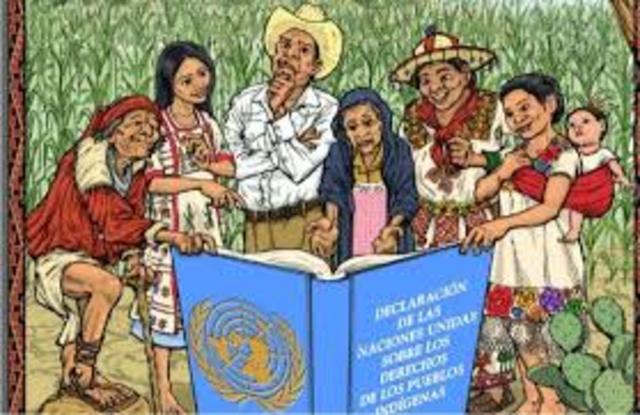 Creación del Comité nacional de derechos Indigenas