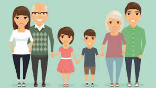 Constitución Política- Artículo 42