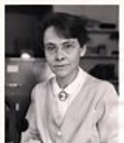 Barabsrs  Mclintock describes  transposons