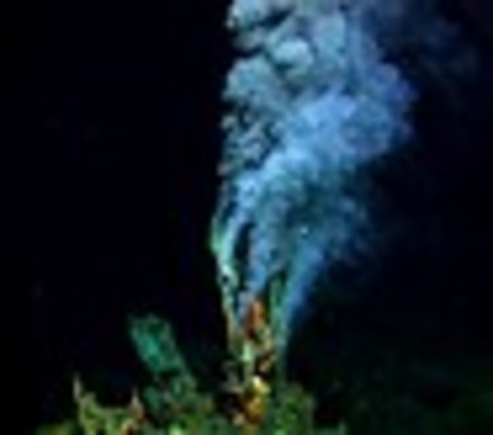 Deep sea  hydrothermal vents and associated life around them are discovered in