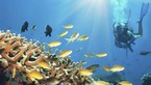 The challenger oceanography expedition sails around the world