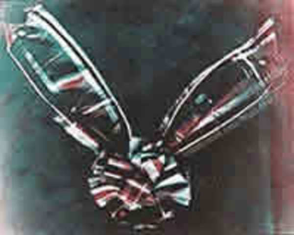 Primera fotografía a color permanente,  tomada por James Clerk Maxwell en 186