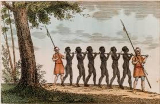 Slaves Arrive in America