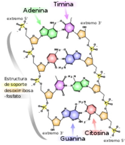Bioquímica y biología molecular