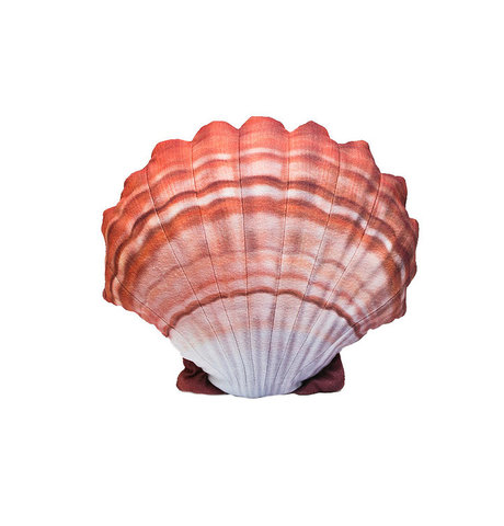 Ázsiai kagylópénz