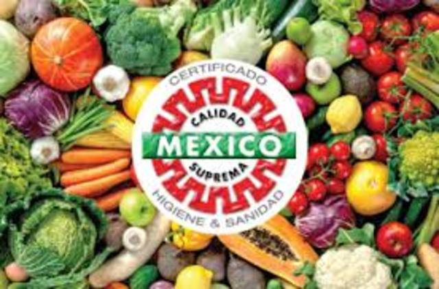 MÉXICO Y LA ECONOMÍA