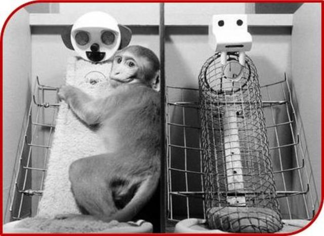 Harry Harlow publishes "The Nature of Love"