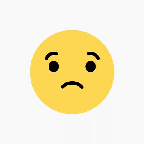 Last Cross Country Meet