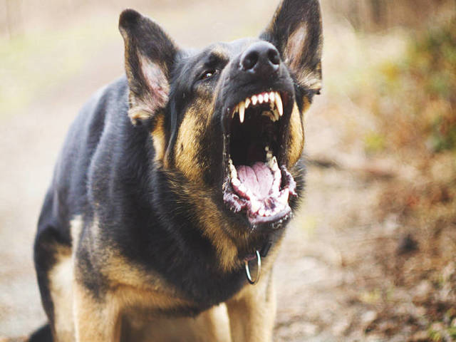 First fight with my mother