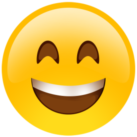 Going to disney World