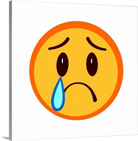 When my dog passed away