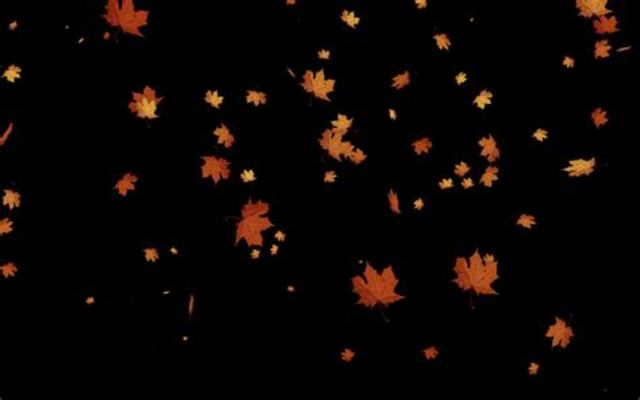 4.0.1 Mac OS, Windows