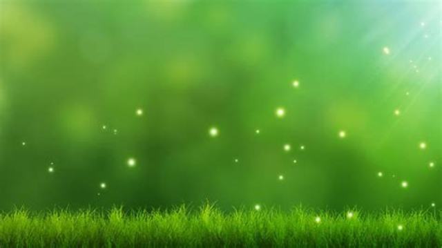 CS3 (10.0) Mac OS, Windows