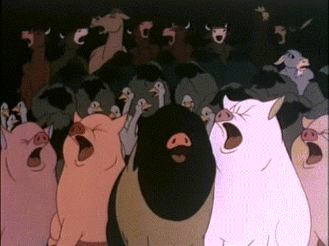 Chapter 1 / Pg.12-13