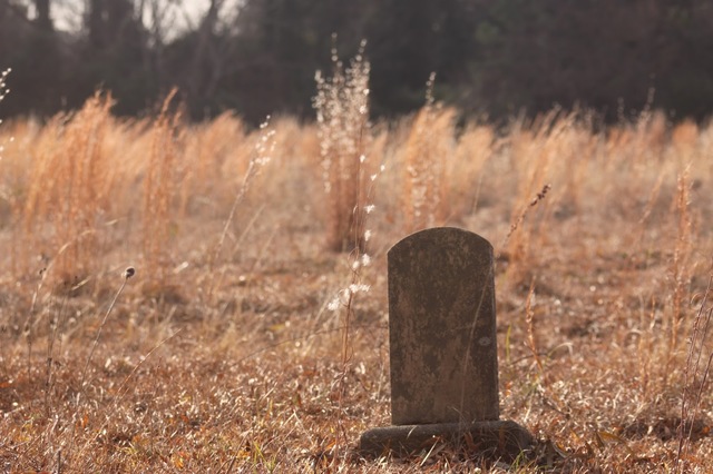 Confederate under Gen.