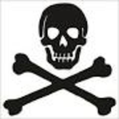 disease and starvation