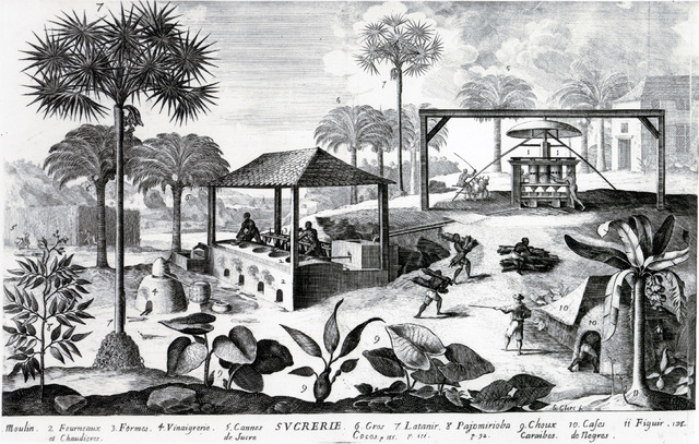 The French Settlement