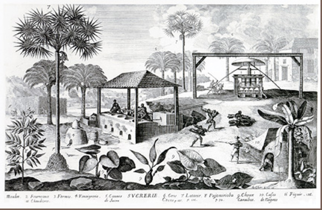 French Run Sugar Plantation at Saint Domingue