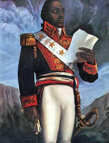 Destroyed plantations