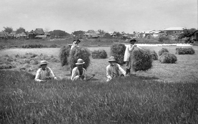 American Imperialism in the Philippines