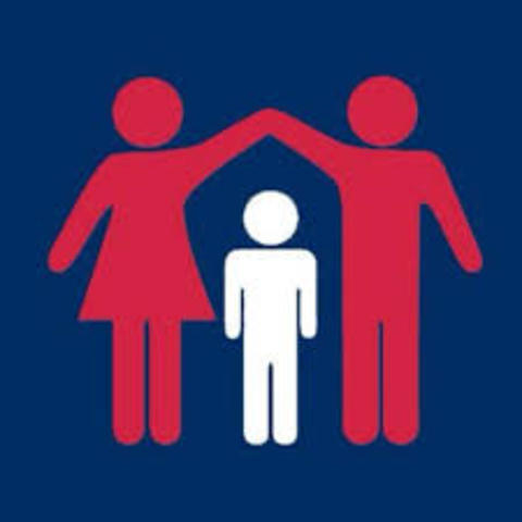 Defense of Marriage Act (DOMA)