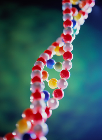 Molécula hereditaria