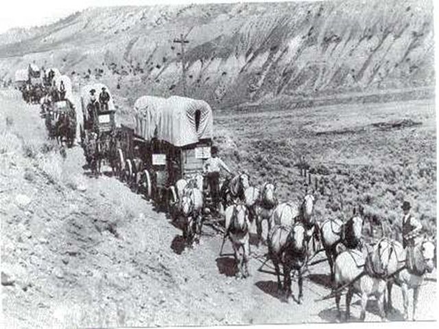 Immigration and agriculture influence public school