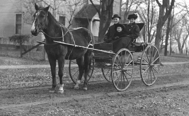 horse and buggy
