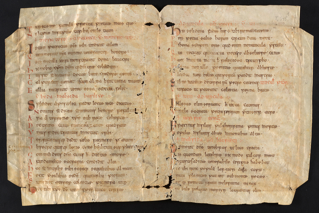 Books and Manuscripts