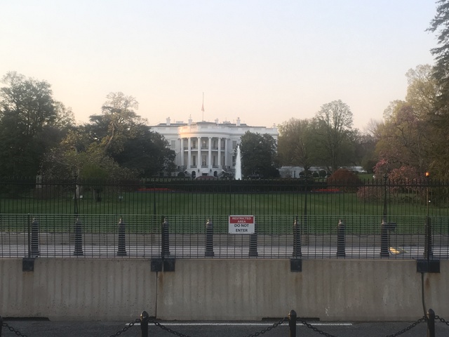 The White House