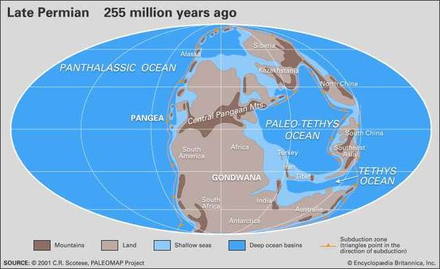 Paleozoic Era