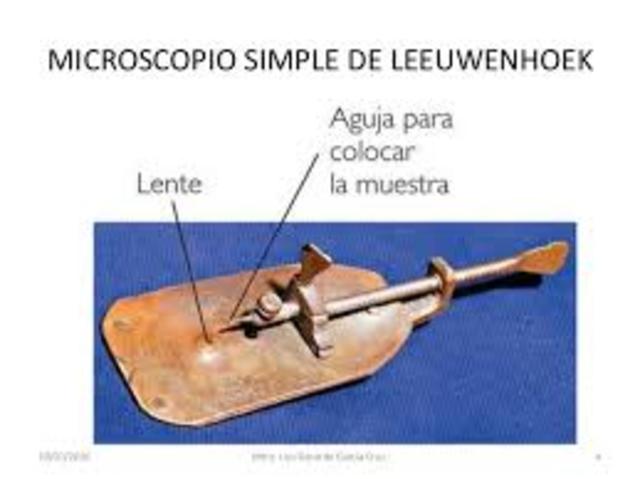 Antoni van Leeuwenhoek