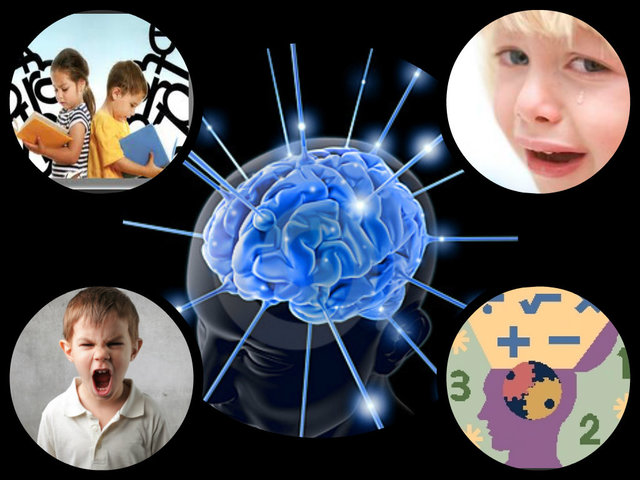 Psicologia como facultad de ciencias humanas