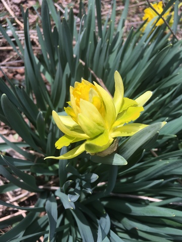 I wanted to do photography